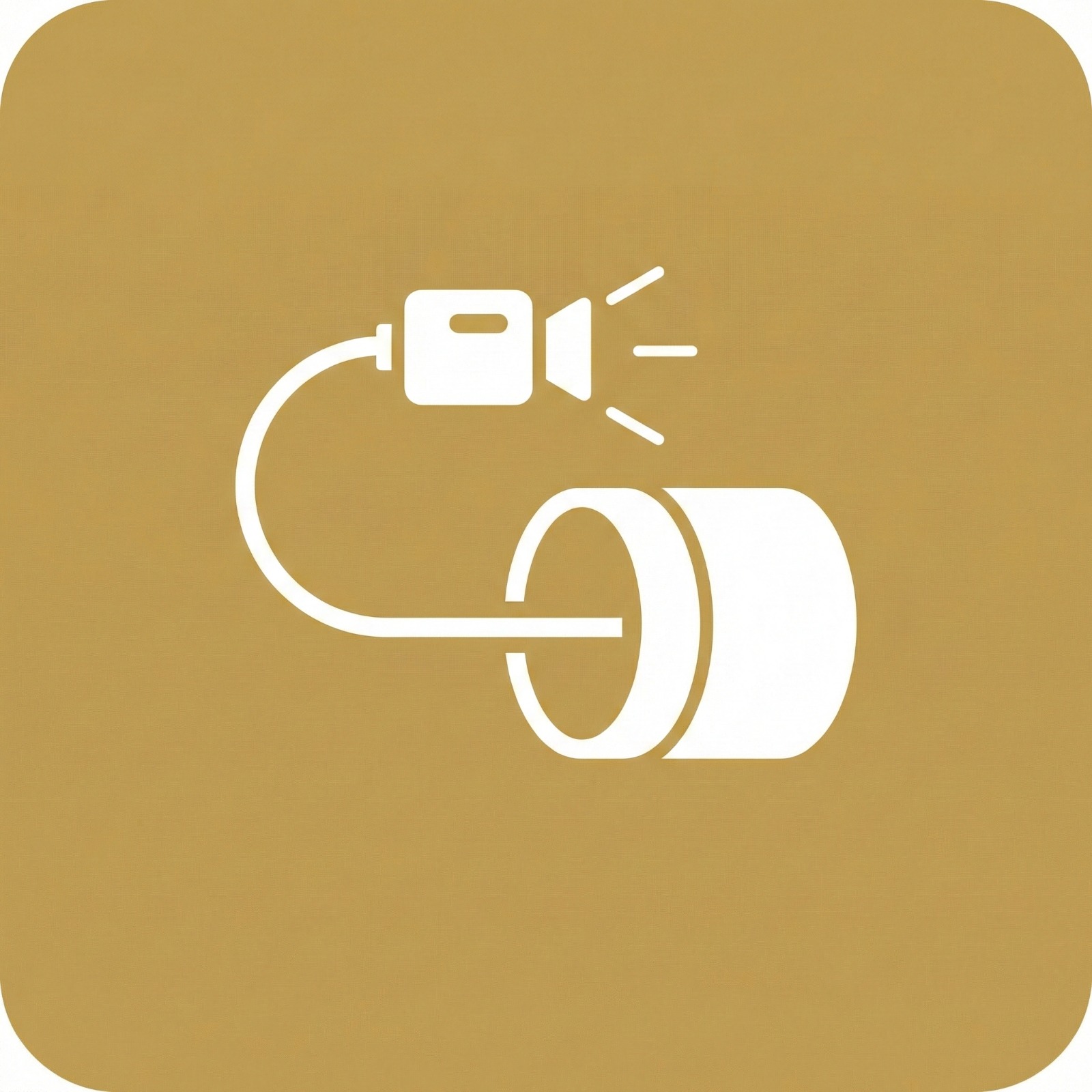 Kamerainspektion Icon