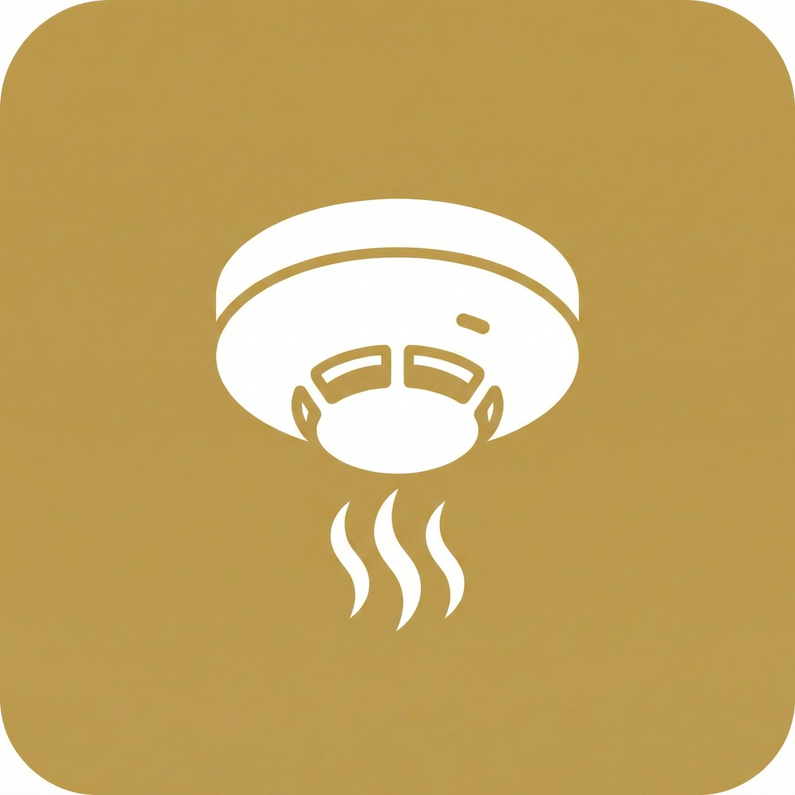 Rauch- und CO-Melder Icon